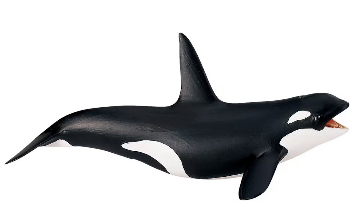 Safari Ltd. Orca/Killer Whale