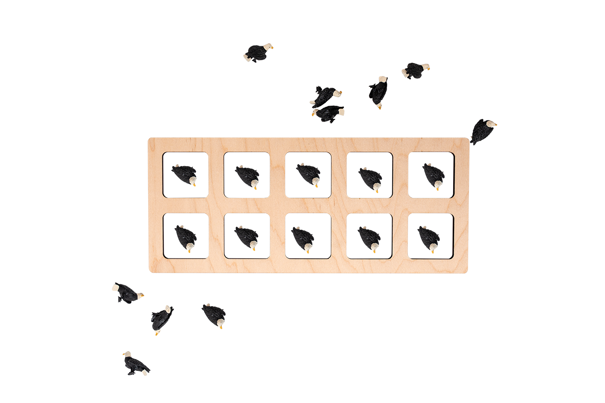 10 Frame with Counting Collection