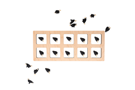 10 Frame with Counting Collection