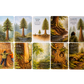 'With Cedar' Card Set