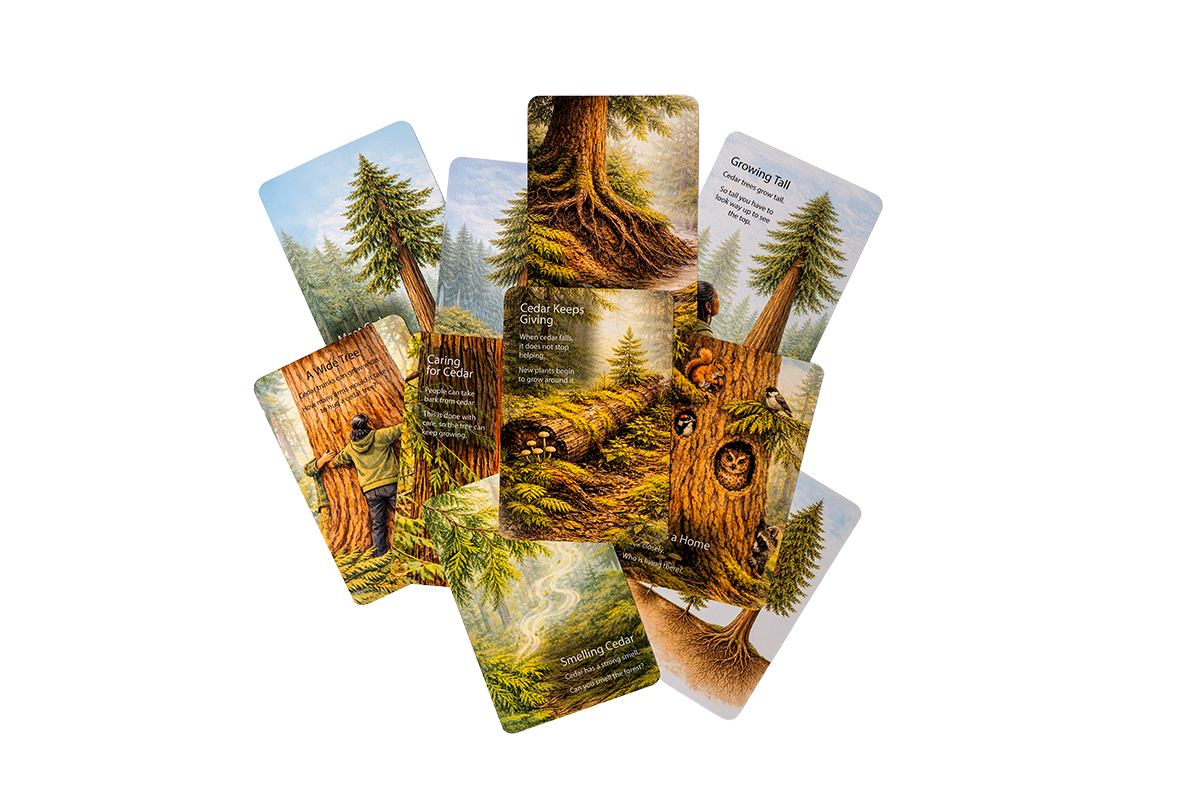 'With Cedar' Card Set