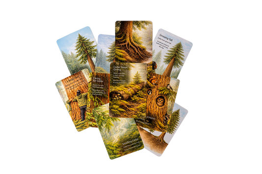 'With Cedar' Card Set