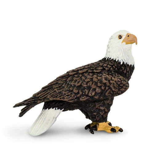 Bald Eagle by Safari Ltd.