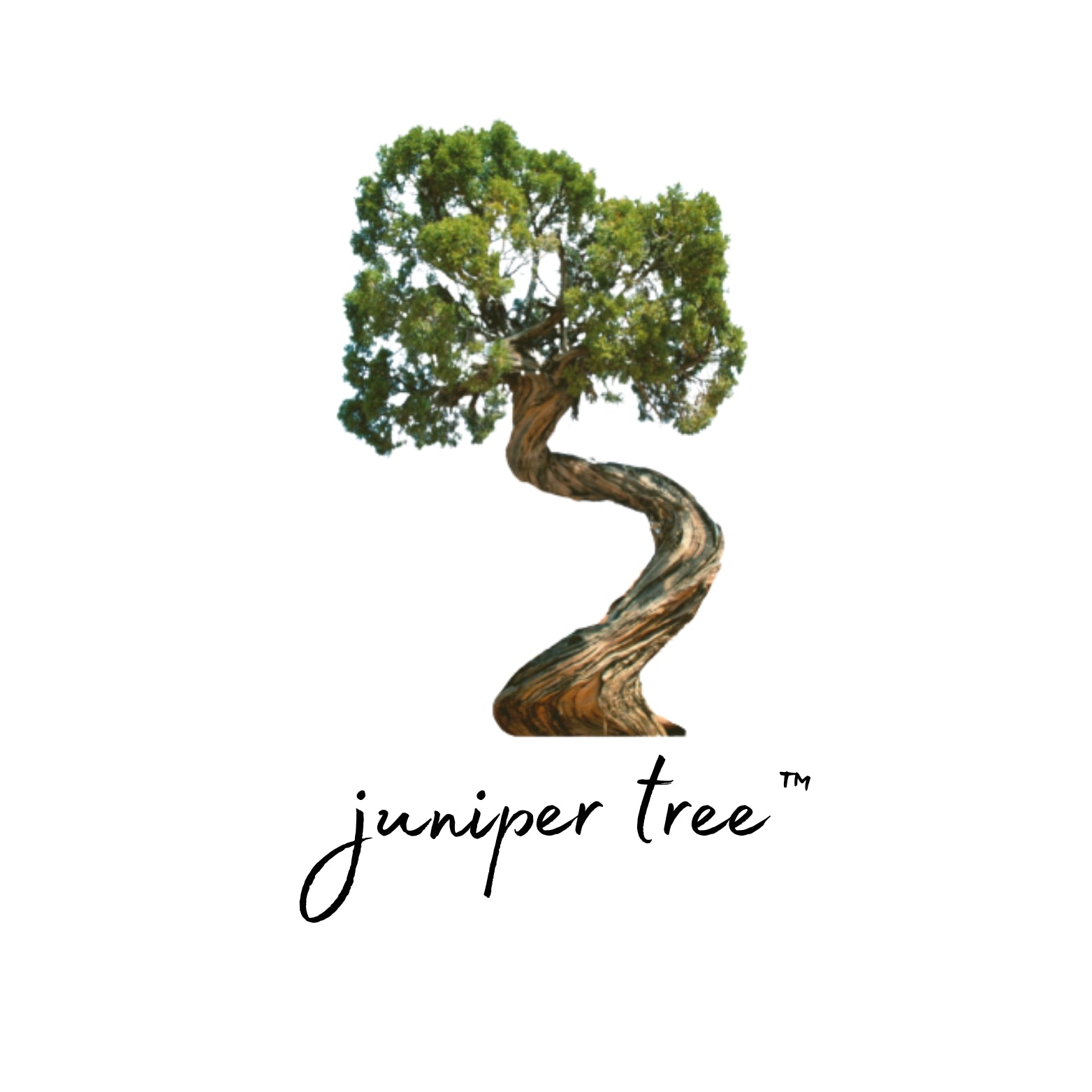 Juniper Tree Learning Materials Inc.