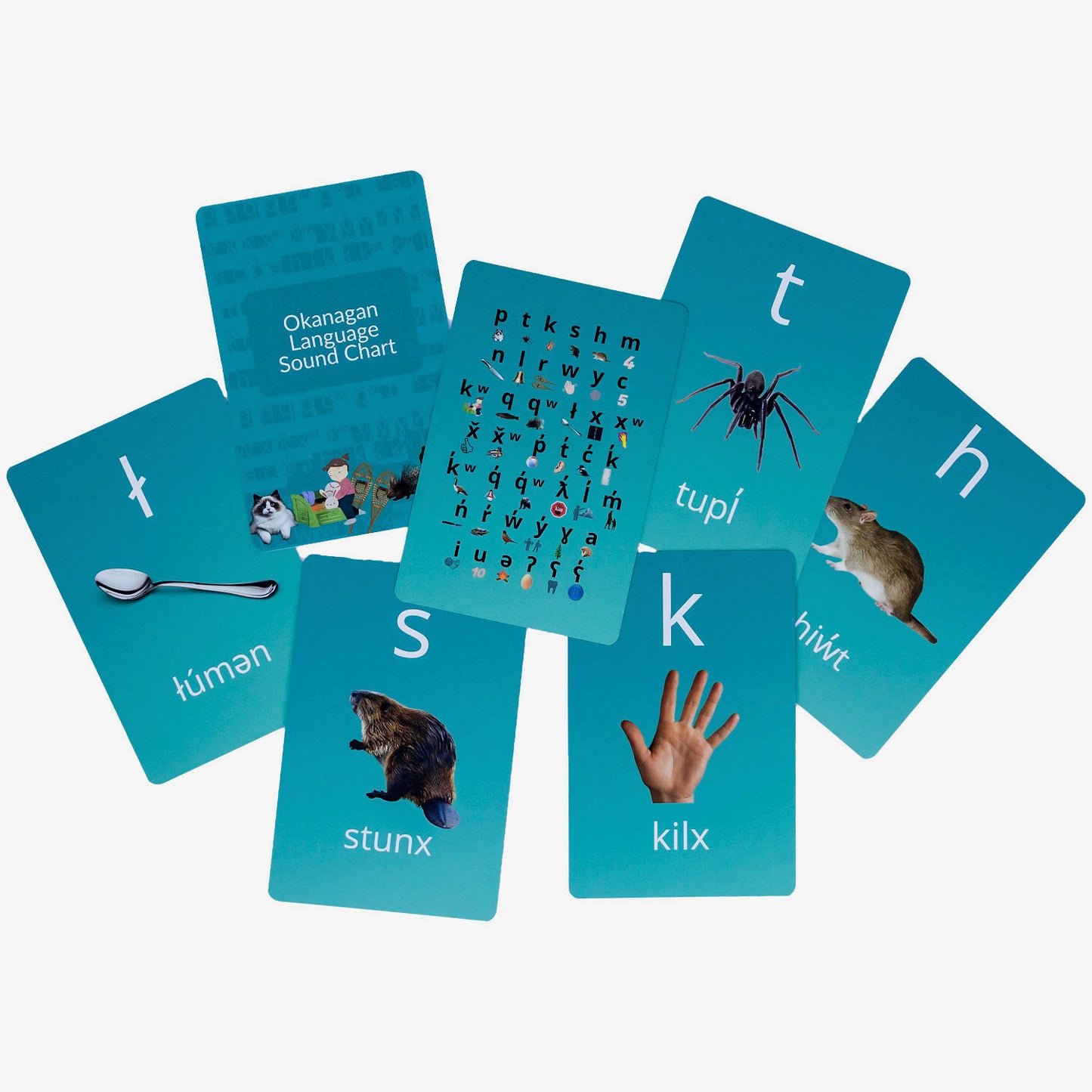 Fanned Living Language Alphabet cards showing letters and images used for hands-on language learning and word recognition