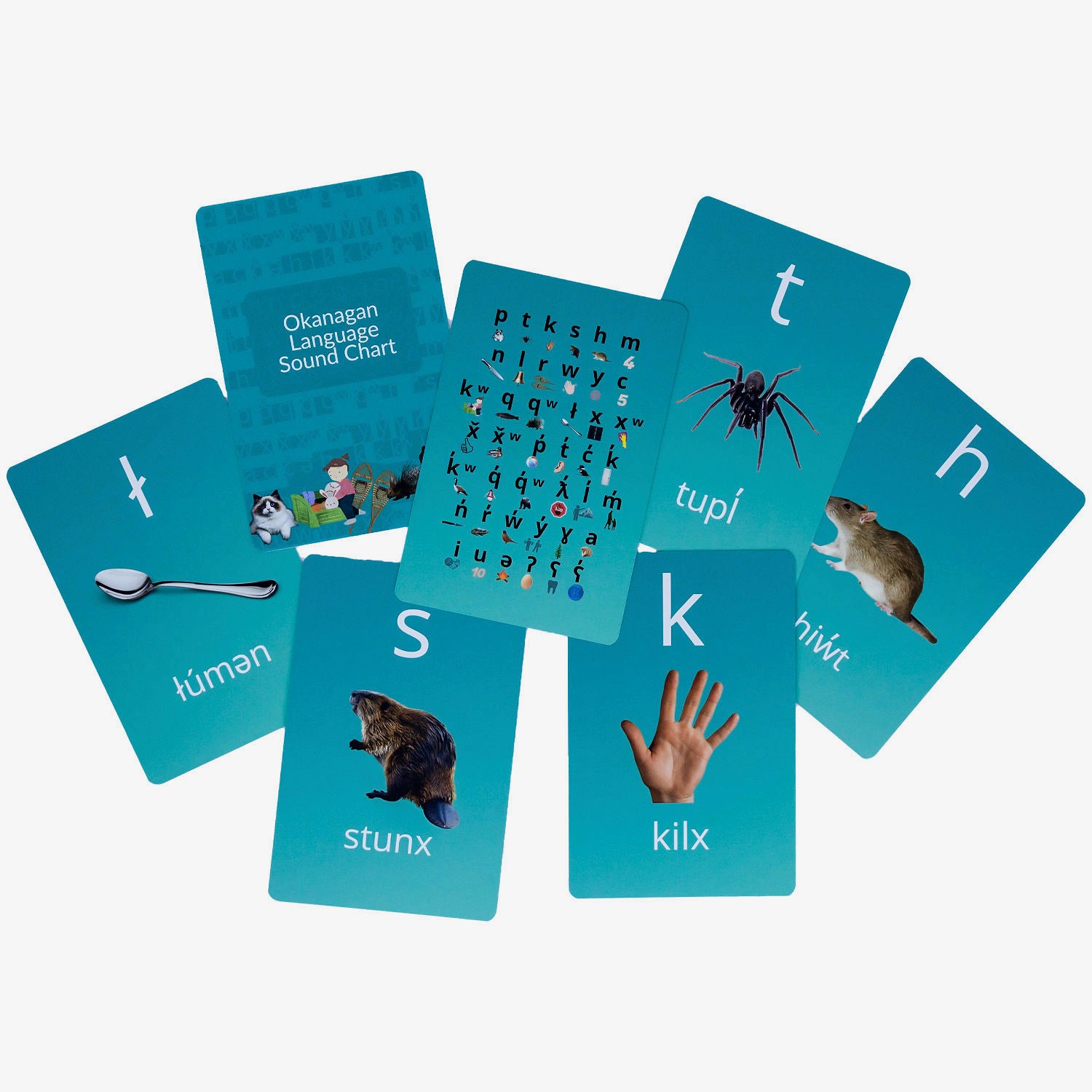Fanned Living Language Alphabet cards showing letters and images used for hands-on language learning and word recognition